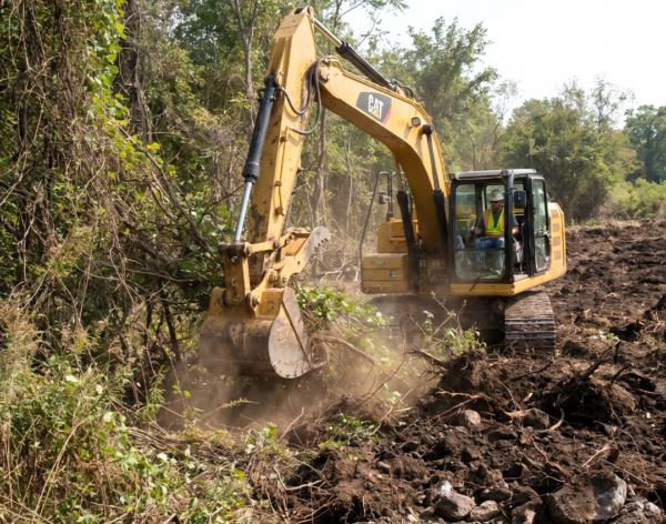 3 Land Clearing