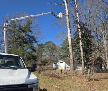 Local tree pruning company working on residential property in Jackson MS