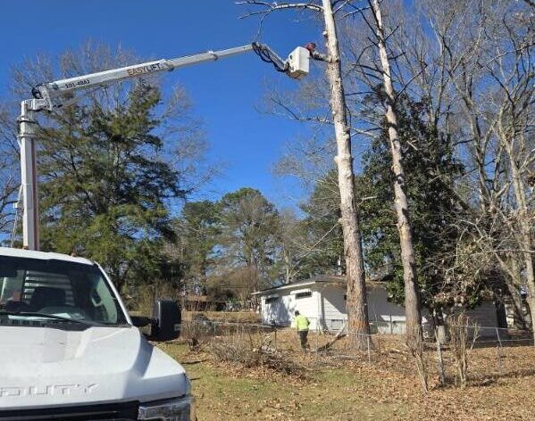 Local tree pruning company working on residential property in Jackson MS