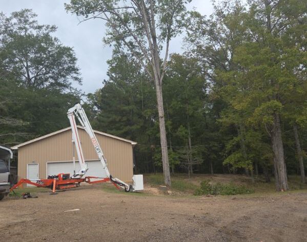 Safe and affordable tree removal services in Jackson MS